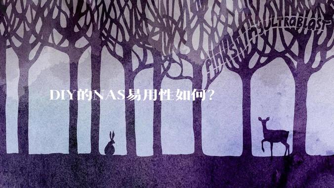 DIY的NAS易用性如何？