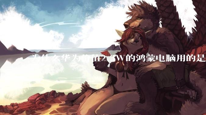 为什么华为价值2.3W的鸿蒙电脑用的是美国西数的SN740固态硬盘？
