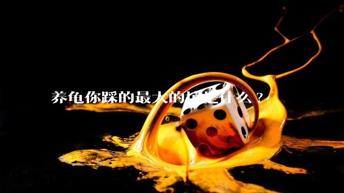 养龟你踩的最大的坑是什么?