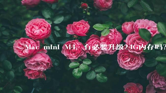 Mac mini M4，有必要升级24G内存吗？