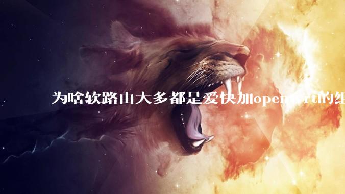 为啥软路由大多都是爱快加openwrt的组合，单openwrt有什么缺点嘛？