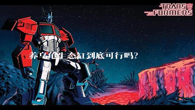 养乌龟生态缸到底可行吗？